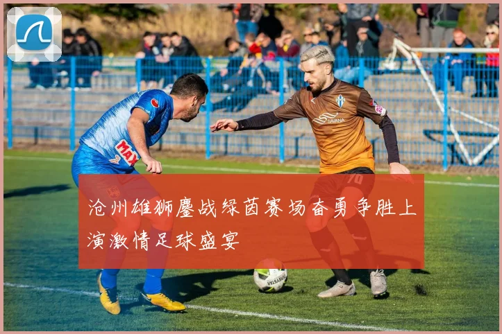 沧州雄狮鏖战绿茵赛场奋勇争胜上演激情足球盛宴