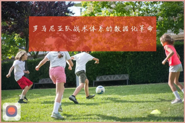 罗马尼亚队战术体系的数据化革命