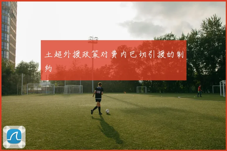 土超外援政策对费内巴切引援的制约