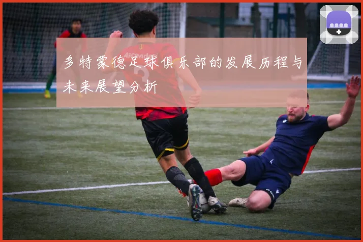 多特蒙德足球俱乐部的发展历程与未来展望分析