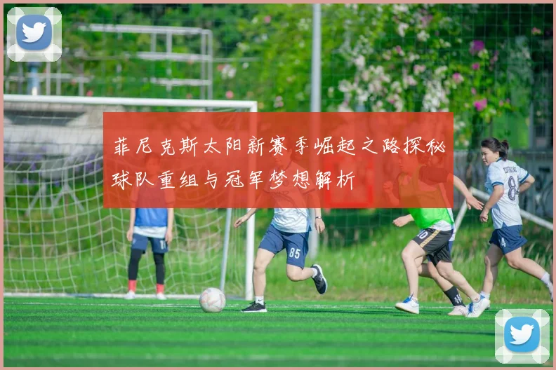 菲尼克斯太阳新赛季崛起之路探秘球队重组与冠军梦想解析