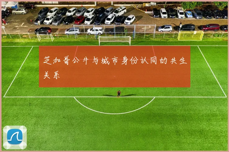芝加哥公牛与城市身份认同的共生关系