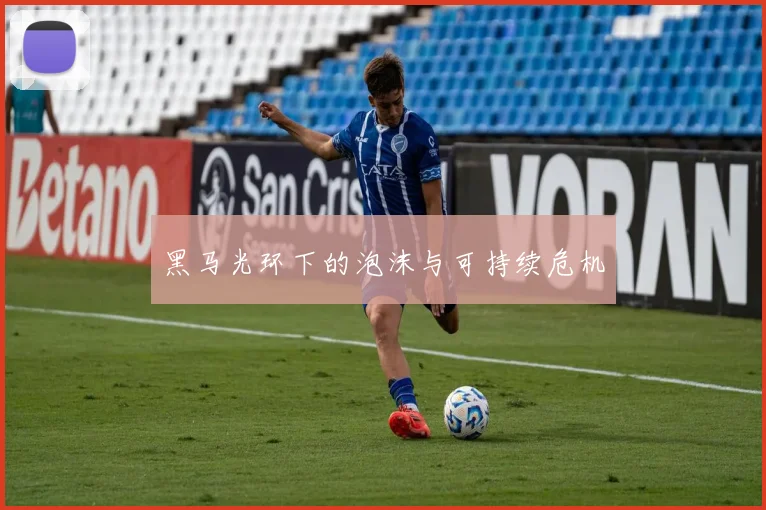 黑马光环下的泡沫与可持续危机