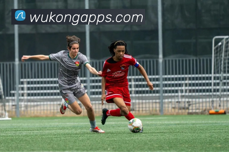 悟空官网服务体系